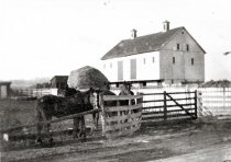 Horses and barn
